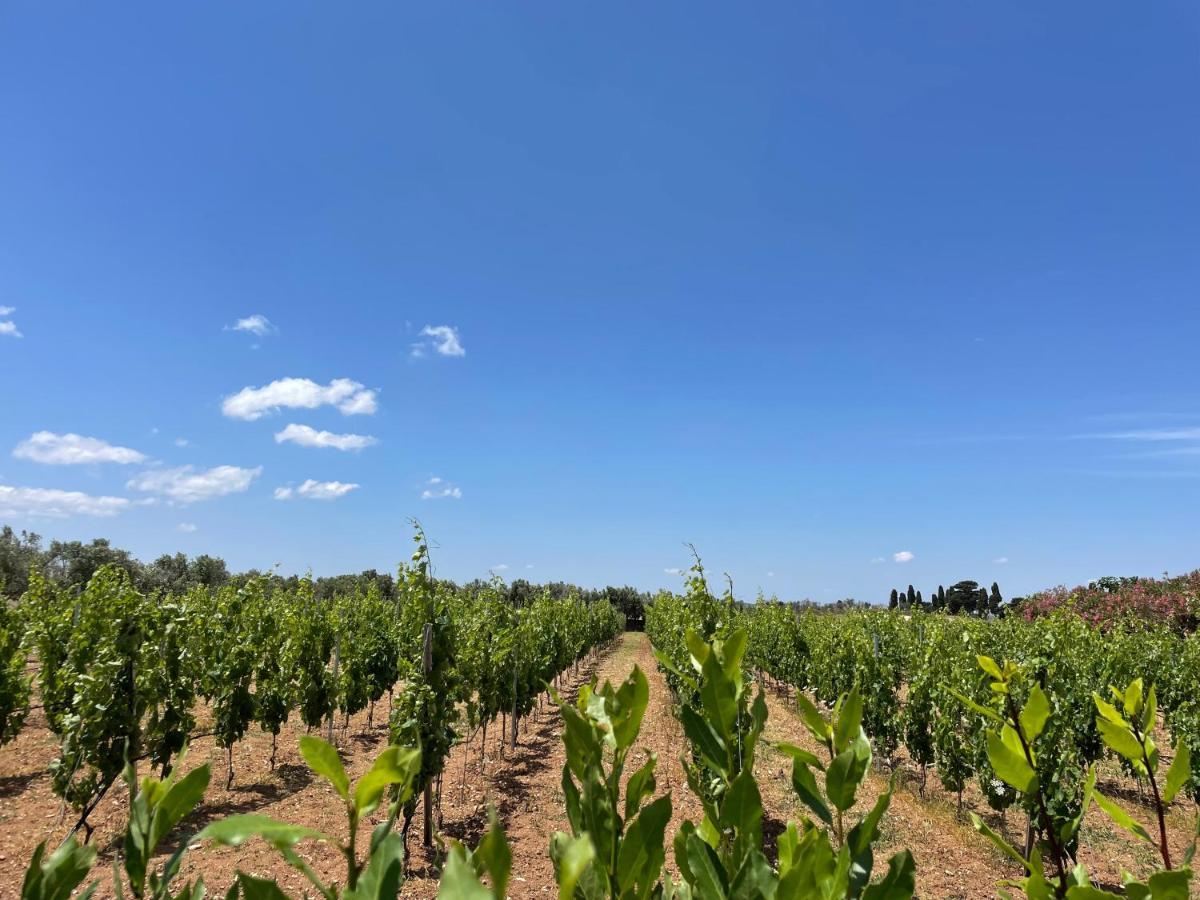 Agriturismo Terra Rossa 오트란토 외부 사진