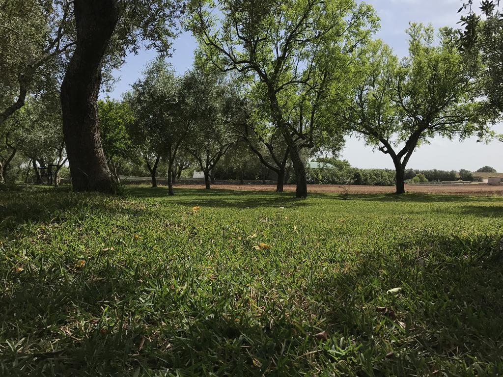 Agriturismo Terra Rossa 오트란토 외부 사진